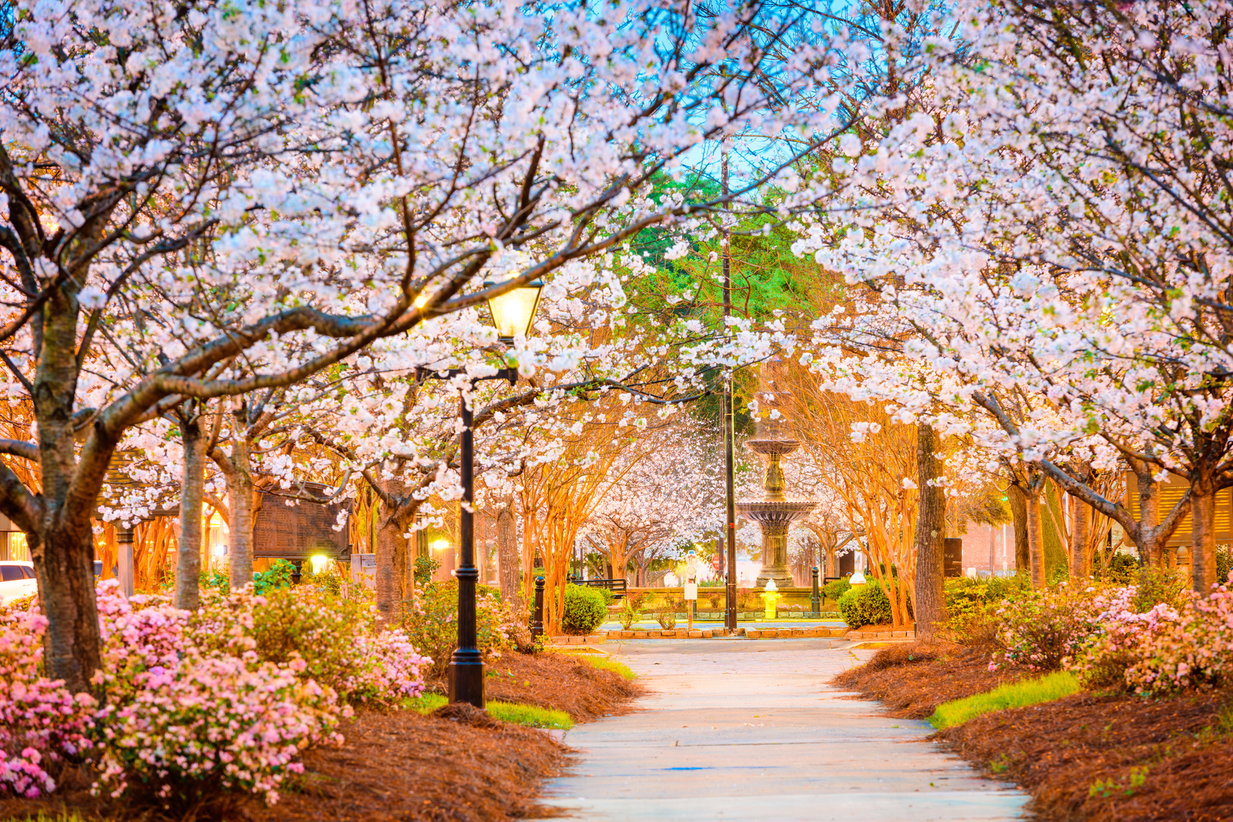 cobb_ga_featured_image