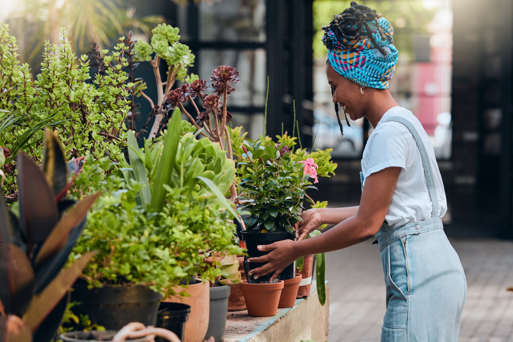 Where to Buy Plants in Salt Lake: A Local Guide to the Best Nurseries ...